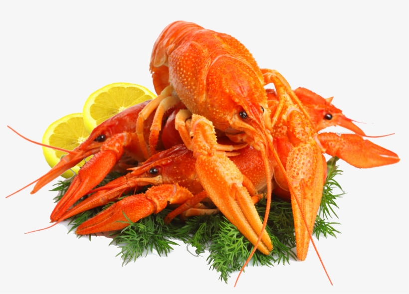 Themed “connecting World Seafood With The Pacific”, - Seafood Png, transparent png