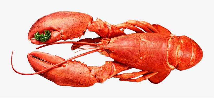Lobster Top Seafood - Seafood, transparent png