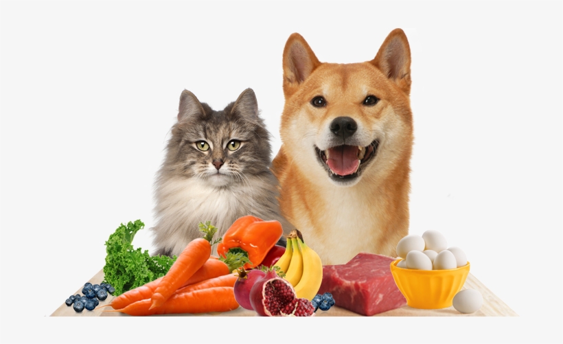 Human Food Made For Pets - Journal: Cat Inspired Cover (series #10) (notebook,, transparent png