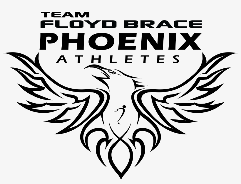 Phoenixtransparent - Illustration, transparent png