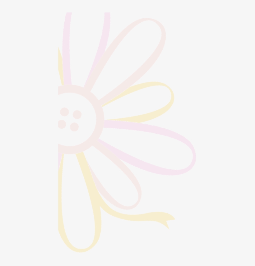 Barberton Daisy, transparent png