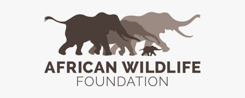 Awf Logo - African Wildlife Foundation, transparent png