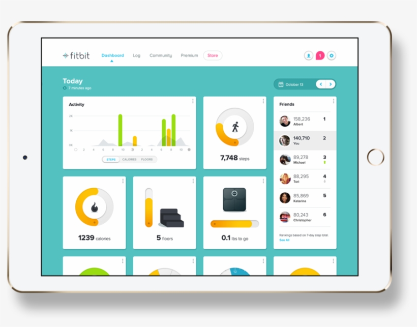 Fitbit-into - Fitbit Dashboards, transparent png