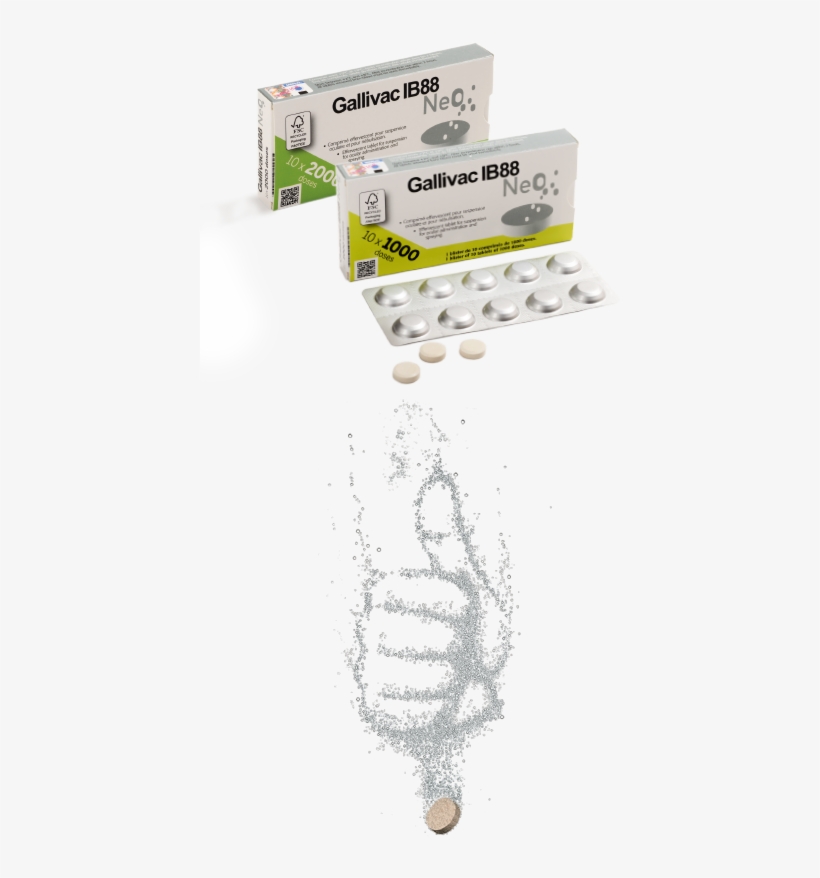 Gallivac Ib88 Neo, transparent png
