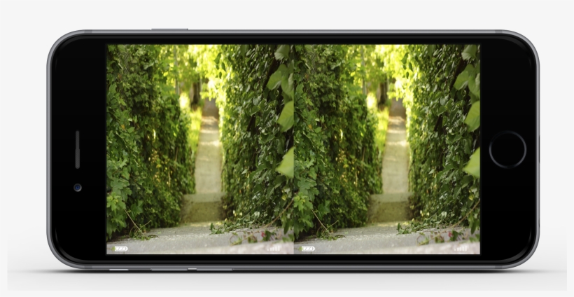 Basic Vr View - Sunlight, transparent png