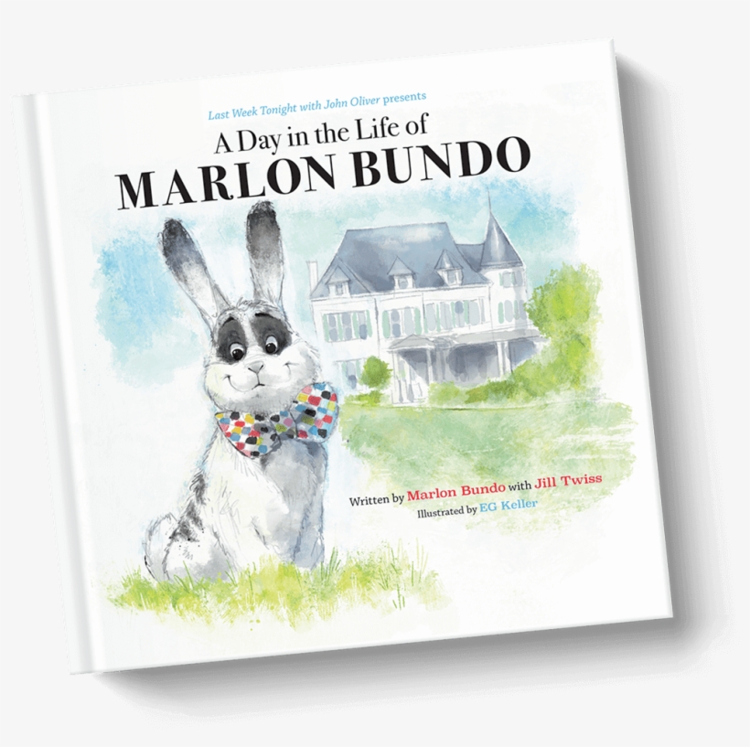 Go Order This Book - Mike Pence Gay Bunny, transparent png