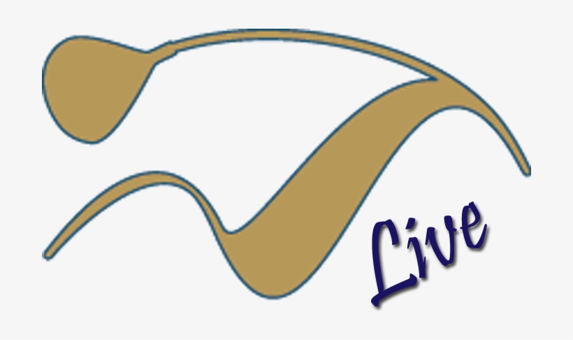 Chip Shots - Homedecoration Wand- Of Plafonddecoratie 101003042013, transparent png