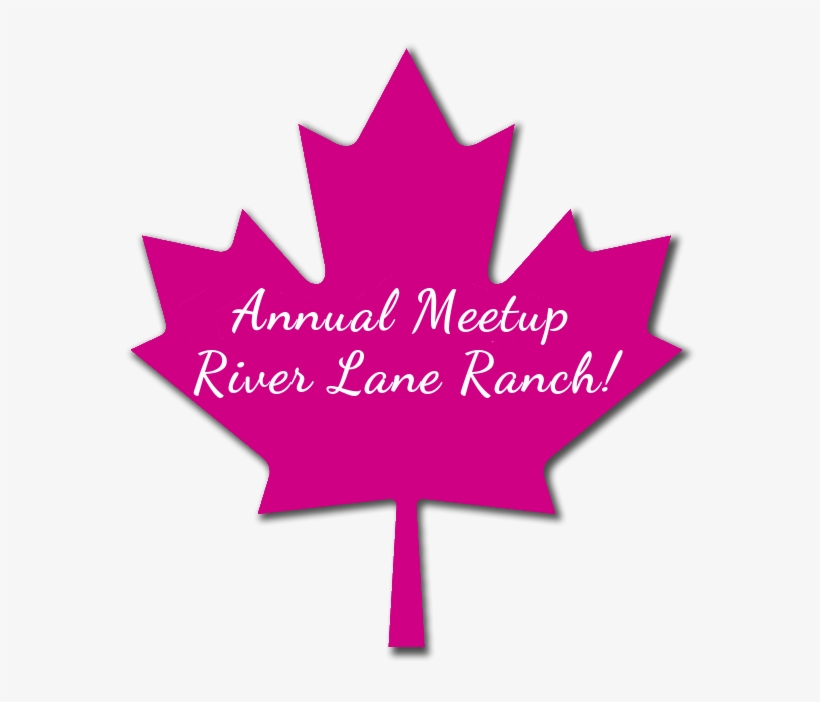 An Amazing Online Community Just For You This Exclusive - Canada Flag, transparent png