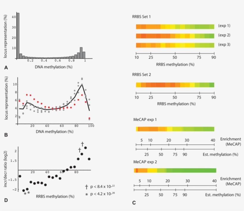 Percentage Of Loci Binned By Dna Methylation For All - Methylation, transparent png