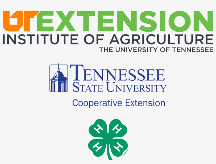 Ut Tsu 4h Avatar White - Family And Consumer Sciences Ut Extension, transparent png