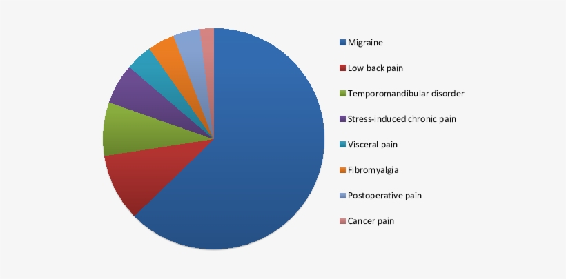 Chronic Pain Conditions Quantified By The Number Of - Chronic Pain Conditions, transparent png