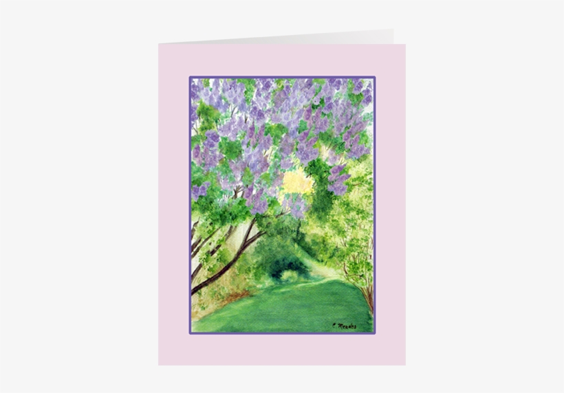Tulip Agapantha's Lilac Tree - Rosa Glauca, transparent png