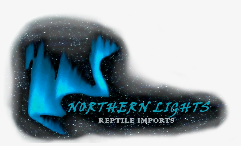 D361cd - Aurora, transparent png
