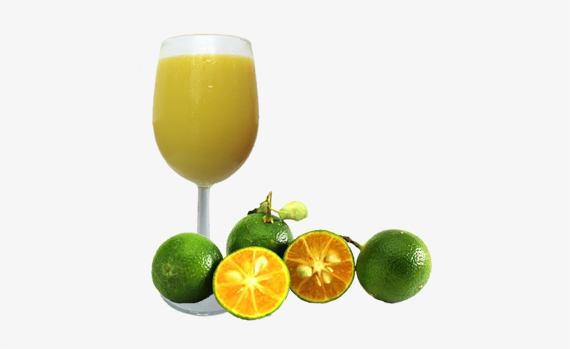 Graphic Download Nafoods Group Products - Calimansi Png, transparent png