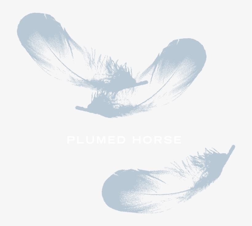 Plumed Horse - Illustration, transparent png