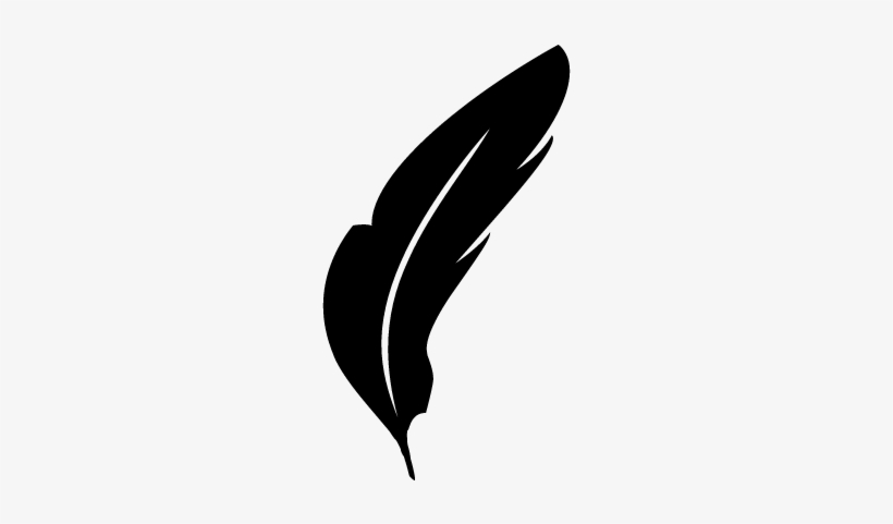 Feather Natural Animal Shape Vector - Pluma Svg, transparent png