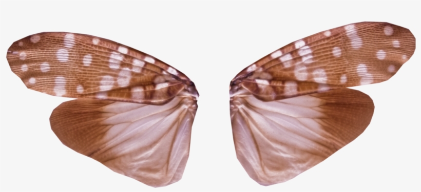 Clipart Free Stock Wings With Transparency Png By Jantiff - Insect Wings Png, transparent png