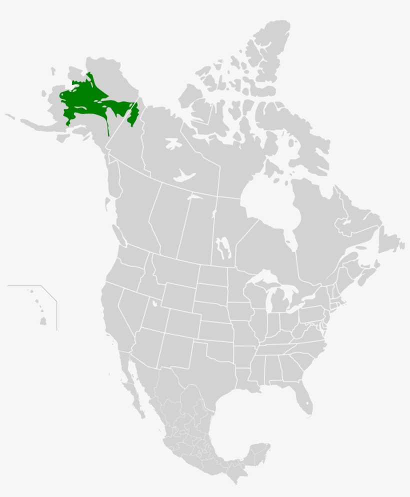 Banner Royalty Free Alaska Vector Map - Saint Elias Mountains Map, transparent png