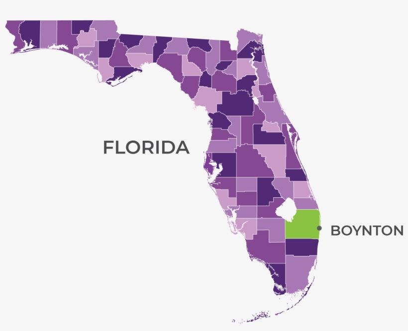 New Perspectives - Map Of Florida, transparent png