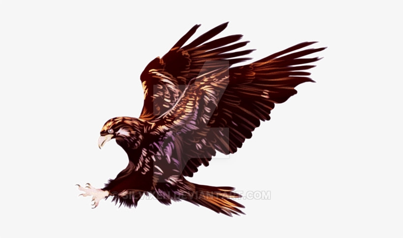 Tiger The Eagle Print- Artist Proof - Eagle, transparent png