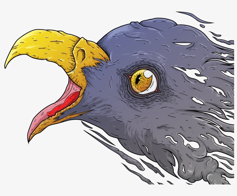 Head Of The Eagle Illustration - Illustration, transparent png
