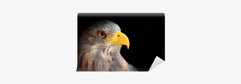 Evil Eye, transparent png