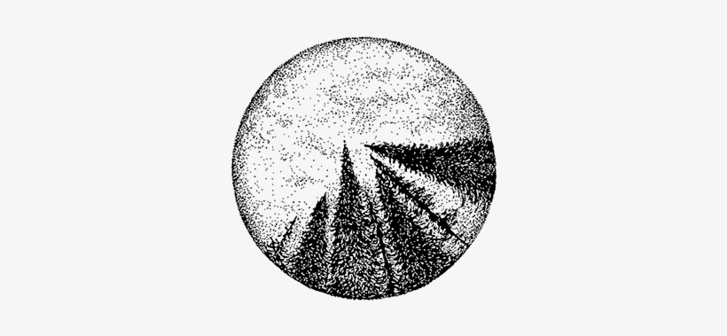 "fir Sky" Pointillism Blackwork Illustration, Tattoo - Library, transparent png