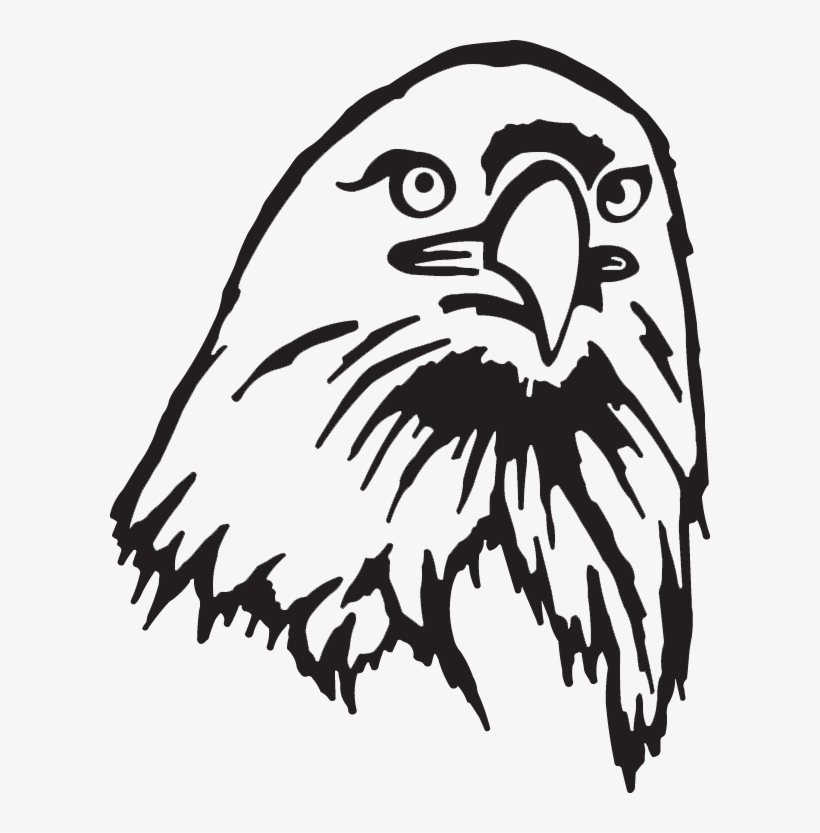 Hawk, transparent png