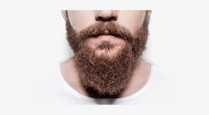 The Shaving Co Beard Oil Works - Gentleman's Beard Club Results, transparent png