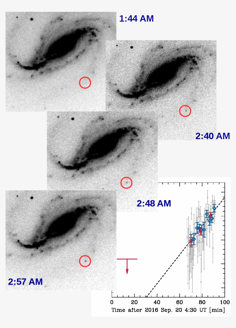 Víctor Buso's Images, Showing The Sudden Emergence - Victor Buso, transparent png
