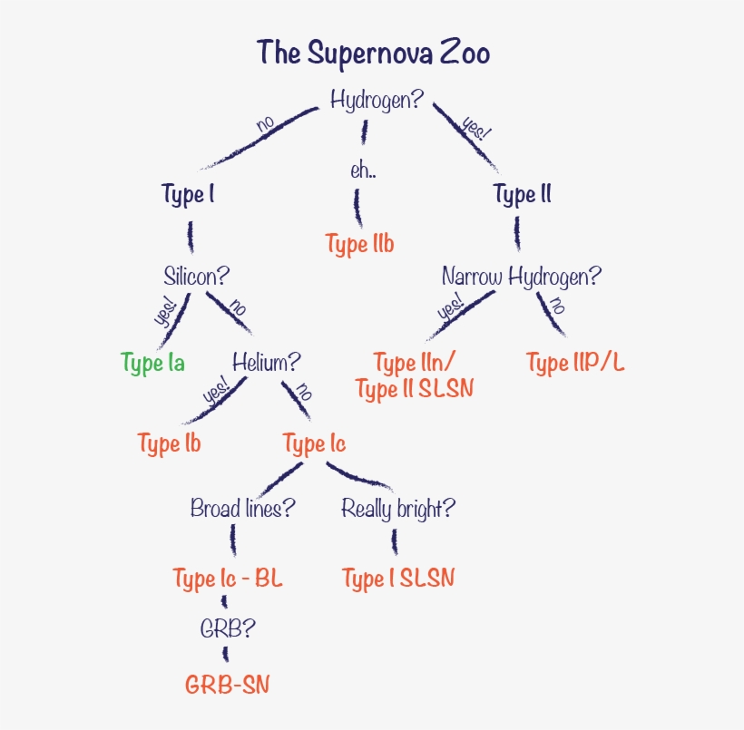 Sn Classification Scheme - Diagram, transparent png