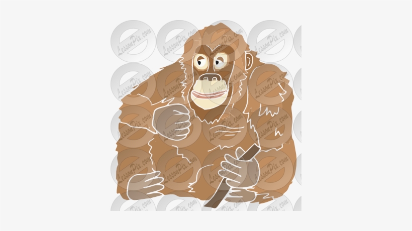 Ape Clipart Orangutan - Ape, transparent png
