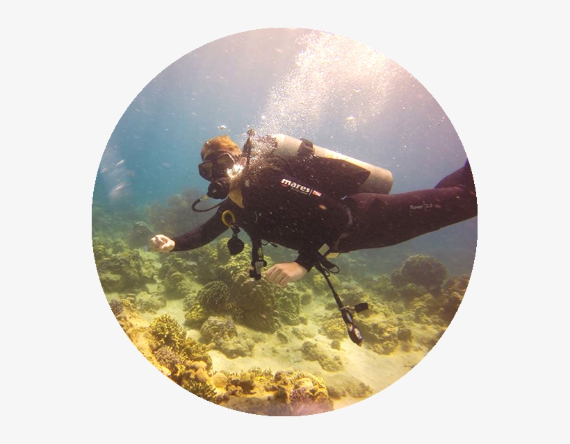 The Shack Vietnam Nha Trang Scuba Diving Courses And - Nha Trang, transparent png