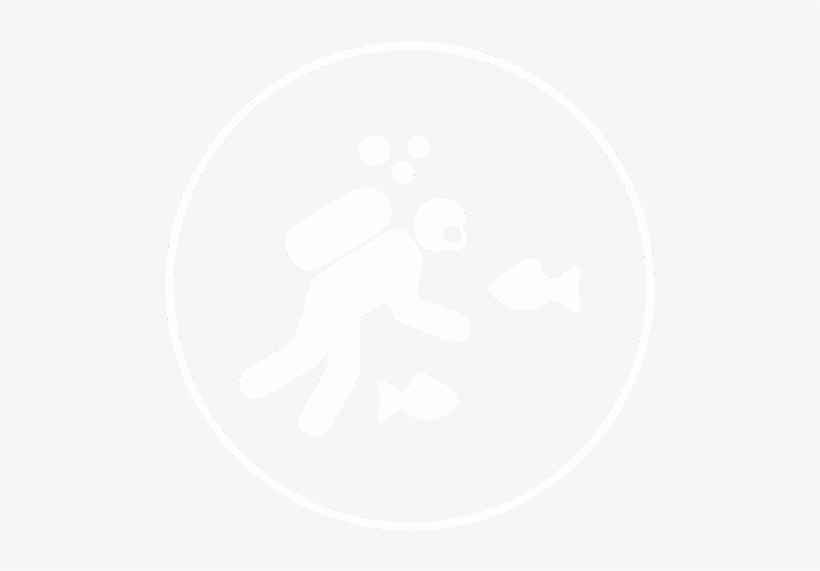 Experience Scuba In Andamans - Scuba Diving, transparent png