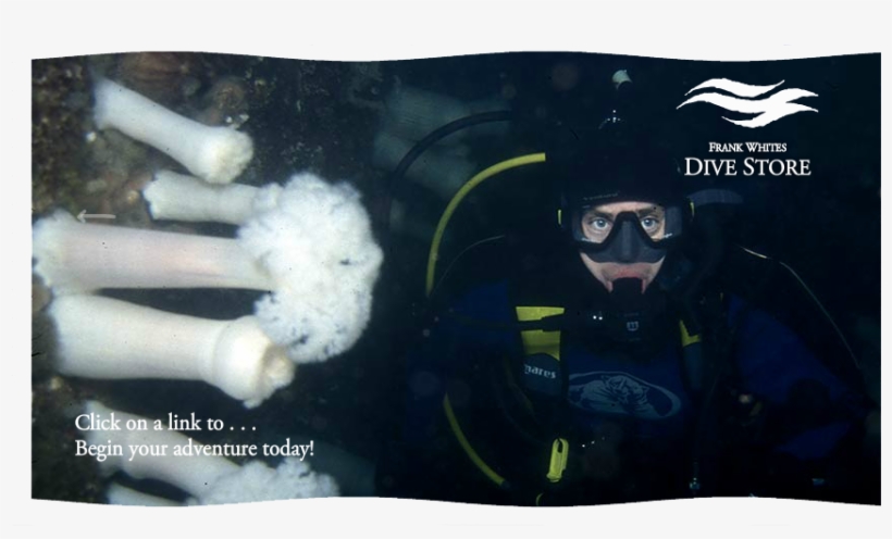 Subscribe To The Frankwhites Newsletter - Scuba Diving, transparent png