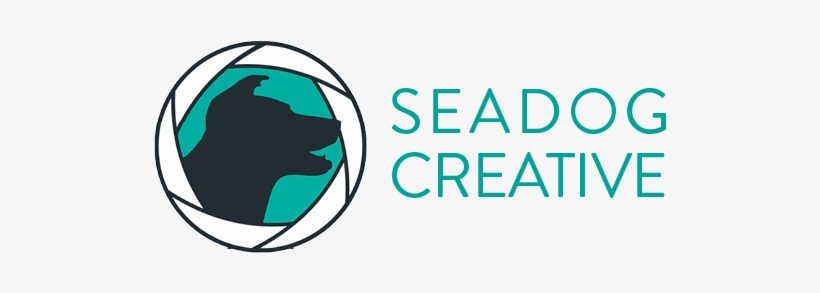 Circle, transparent png