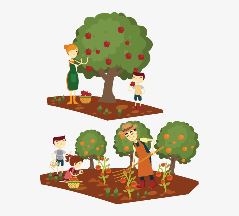 Mlp Resource Transparent - Grow Tree Cartoon Png, transparent png