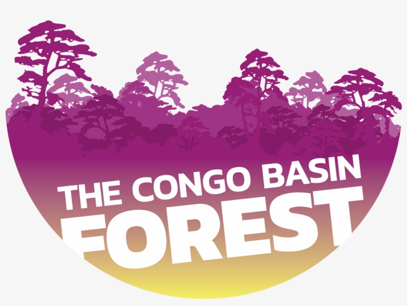 Make A Wish Logo Png, transparent png