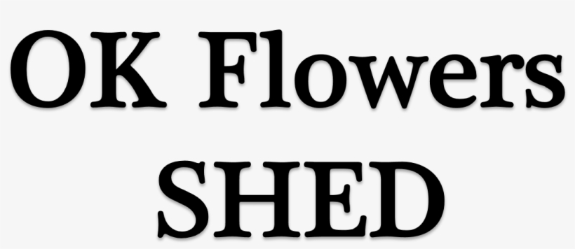 Ok Flowers Shed - Winner Is A Dreamer Who Never Gives Up, transparent png