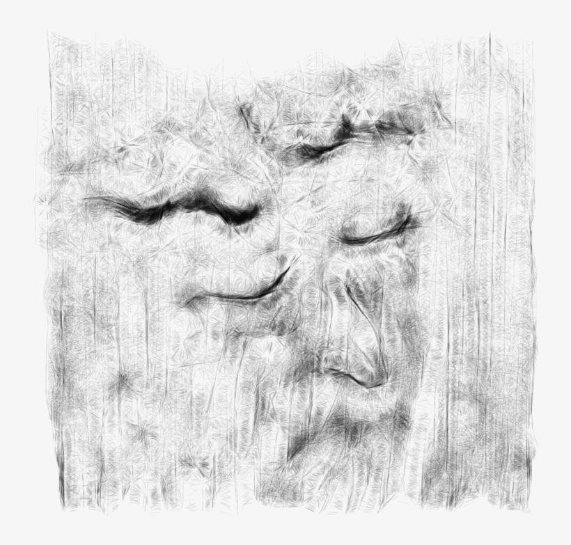 Canvases 139, - Sketch, transparent png