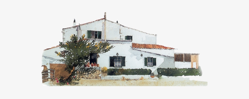 Pan Y Vino Sant Lluis, transparent png