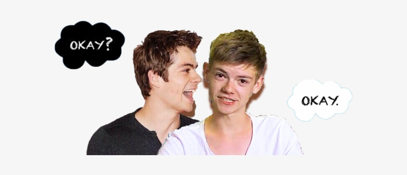 🌻🌻🌱🌻🌻, transparent png
