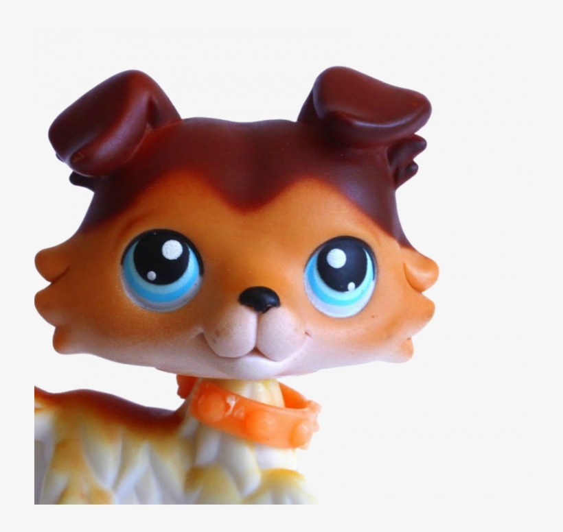 You - Littlest Pet Shop 8, transparent png