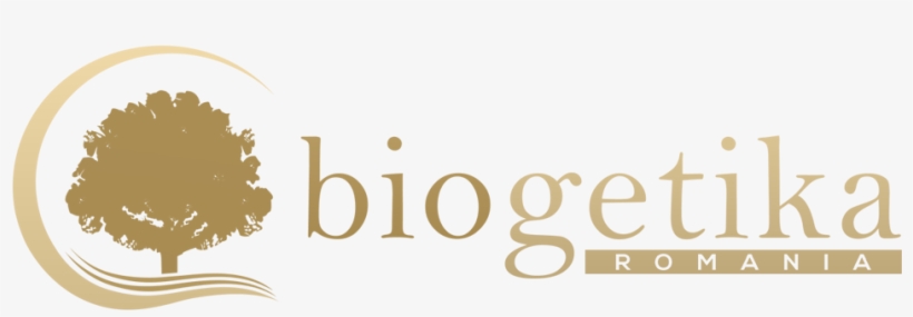 Graphic Design, transparent png