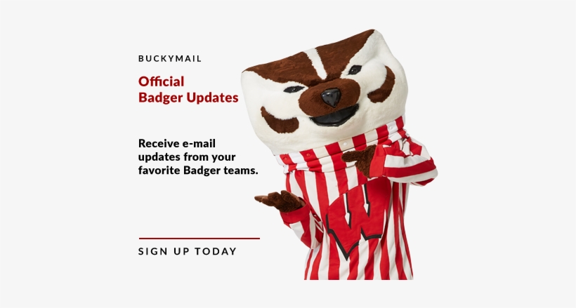 Buckymail18 - Owl, transparent png