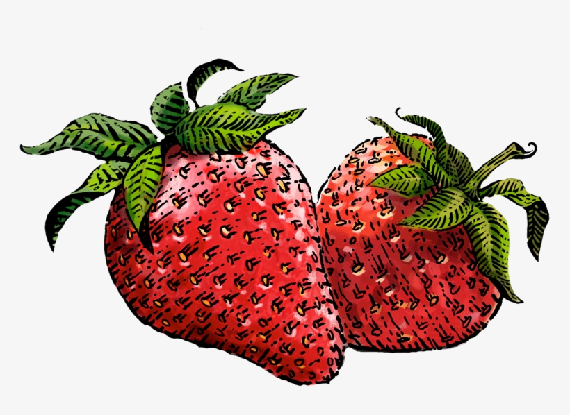 Drawn Strawberry Transparent Background - Siggi's Strawberry Yogurt, transparent png