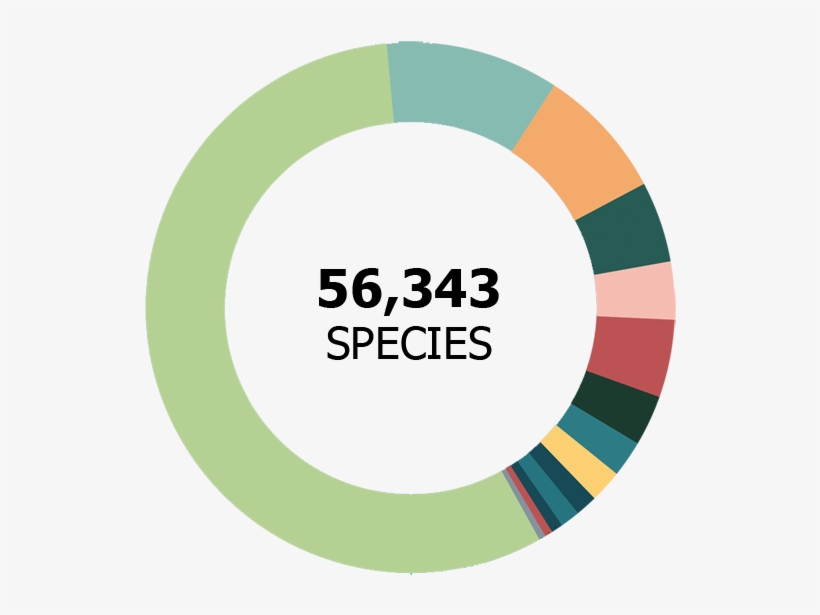 56,343 Species - Species, transparent png