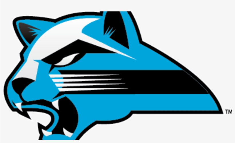 Kvcc Cancels Women's Basketball Season - Kalamazoo Valley Community College, transparent png