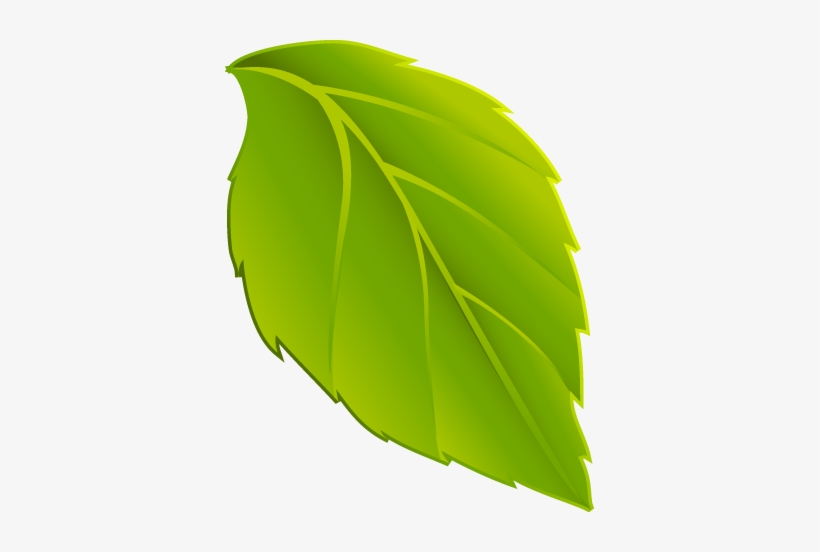 Download Transparent Hojas En Png Dibujo De Hoja Verde PNGkit