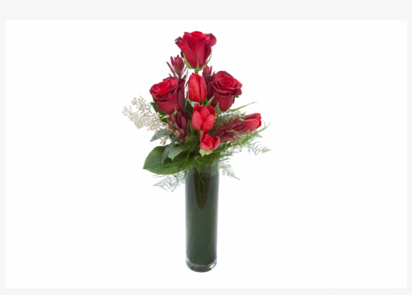 Shop - Garden Roses, transparent png